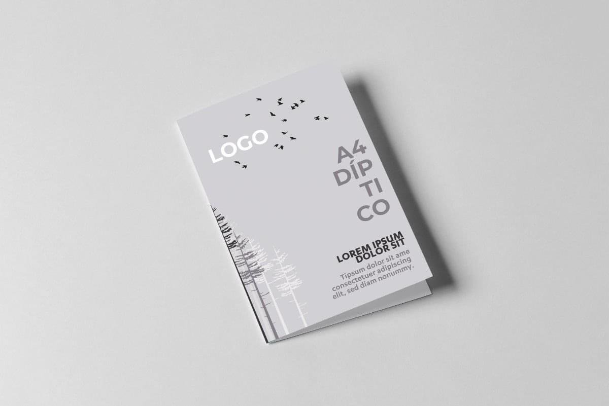 Impresión de Folletos en Madrid | Folletos Personalizados 24h